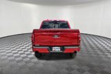 New 2025 Ford F150 XLT w/ Equipment Group 303A High image 5