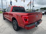 Certified 2023 Ford F150 XLT w/ Equipment Group 302A High image 5
