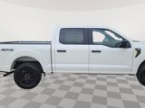 New 2025 Ford F150 STX image 4