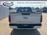 New 2025 Ford F150 STX w/ Equipment Group 200A image 5