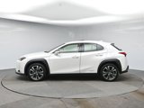 Used 2019 Lexus UX 250h w/ Premium Package image 2