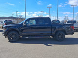 New 2025 Ford F150 XLT w/ Equipment Group 303A High image 4