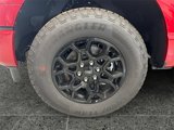 New 2025 Ford F150 XLT image 5