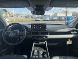 New 2026 Honda Passport RTL image 5