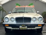 Used 1987 Jaguar XJ6 image 2