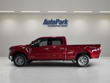 New 2025 Ford F150 XLT image 4