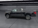 New 2025 Ford F150 STX w/ Equipment Group 200A image 5
