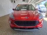 Used 2021 Ford Escape Titanium image 3