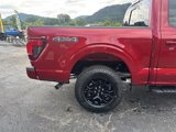 New 2025 Ford F150 XLT image 4