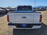 New 2025 Ford F150 Platinum w/ Equipment Group 702A High image 6