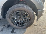 Used 2024 Ford F150 Platinum w/ Equipment Group 702A High image 2