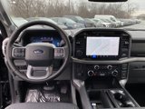 New 2025 Ford F150 XLT w/ Equipment Group 303A High image 6