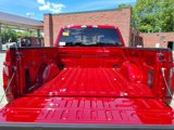 New 2025 Ford F150 XLT image 4