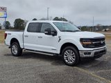 New 2025 Ford F150 XLT w/ Equipment Group 303A High image 4