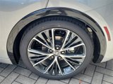 New 2026 Toyota Prius XLE image 5