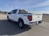 New 2025 Ford F150 XLT w/ Equipment Group 302A MID image 5