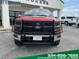 Used 2024 Ford F150 XLT w/ Equipment Group 302A MID image 3