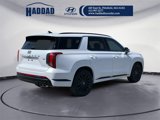 New 2025 Hyundai Palisade Calligraphy image 5