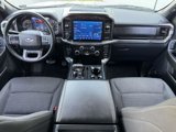 Used 2023 Ford F150 XLT w/ Equipment Group 302A High image 2