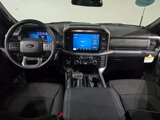 New 2025 Ford F150 XLT w/ Equipment Group 301A Standard image 3