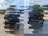 New 2025 Ford Expedition Active image 3