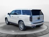 New 2025 Cadillac Escalade Premium Luxury Platinum image 5