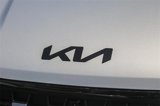 New 2026 Kia Carnival SX Prestige image 6