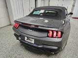 Used 2024 Ford Mustang Convertible image 4