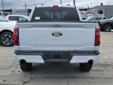 New 2025 Ford F150 XLT w/ Equipment Group 303A High image 5