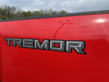 New 2025 Ford F250 XLT image 4