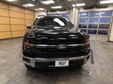 New 2025 Ford F150 XLT w/ Equipment Group 303A High image 2