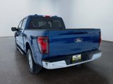 New 2025 Ford F150 XLT w/ Equipment Group 302A MID image 2