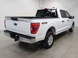 Certified 2023 Ford F150 XLT image 5