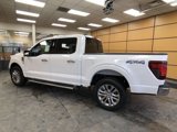 New 2025 Ford F150 XLT w/ Equipment Group 303A High image 5
