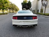 Used 2015 Ford Mustang 50 Years image 4