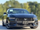 Used 2024 Ford Mustang Premium image 3