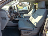 New 2025 Ford F150 XLT image 5
