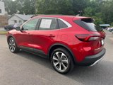 Used 2024 Ford Escape Platinum image 3