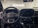 New 2025 Ford F150 XLT w/ Equipment Group 303A High image 4
