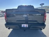 New 2024 Ford F150 STX w/ Equipment Group 201A FX4 image 2