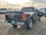 New 2025 Ford F150 XLT w/ Equipment Group 301A Standard image 5