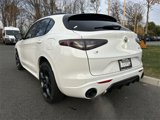 New 2025 Alfa Romeo Stelvio Tributo Italiano w/ Active Assist Plus Package image 6