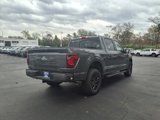 New 2025 Ford F150 XLT w/ Equipment Group 302A MID image 3