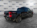 New 2025 Ford F250 XL w/ STX Appearance Package image 5