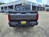New 2025 Toyota Tundra SR5 image 4