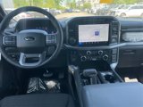 New 2025 Ford F150 XLT w/ Equipment Group 302A MID image 5