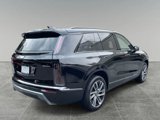 New 2026 Cadillac Vistiq Sport image 5
