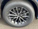 New 2025 Lexus NX 350 AWD w/ Premium Package image 5