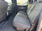 Used 2018 Ford F150 XLT w/ Equipment Group 302A Luxury image 3