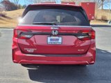New 2025 Honda Odyssey Elite image 4